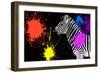 Safari Colors Pop Collection - Zebra V-Philippe Hugonnard-Framed Giclee Print