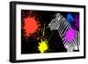 Safari Colors Pop Collection - Zebra V-Philippe Hugonnard-Framed Giclee Print