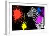 Safari Colors Pop Collection - Zebra V-Philippe Hugonnard-Framed Giclee Print