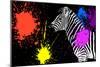 Safari Colors Pop Collection - Zebra V-Philippe Hugonnard-Mounted Giclee Print
