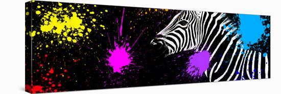 Safari Colors Pop Collection - Zebra VI-Philippe Hugonnard-Stretched Canvas