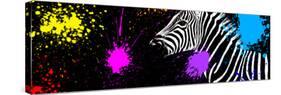 Safari Colors Pop Collection - Zebra VI-Philippe Hugonnard-Stretched Canvas