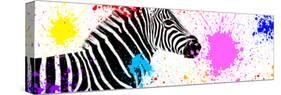 Safari Colors Pop Collection - Zebra VII-Philippe Hugonnard-Stretched Canvas