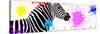 Safari Colors Pop Collection - Zebra VII-Philippe Hugonnard-Stretched Canvas