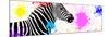Safari Colors Pop Collection - Zebra VII-Philippe Hugonnard-Mounted Giclee Print