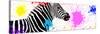 Safari Colors Pop Collection - Zebra VII-Philippe Hugonnard-Stretched Canvas