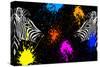 Safari Colors Pop Collection - Zebras Face to Face II-Philippe Hugonnard-Stretched Canvas