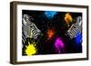 Safari Colors Pop Collection - Zebras Face to Face II-Philippe Hugonnard-Framed Giclee Print