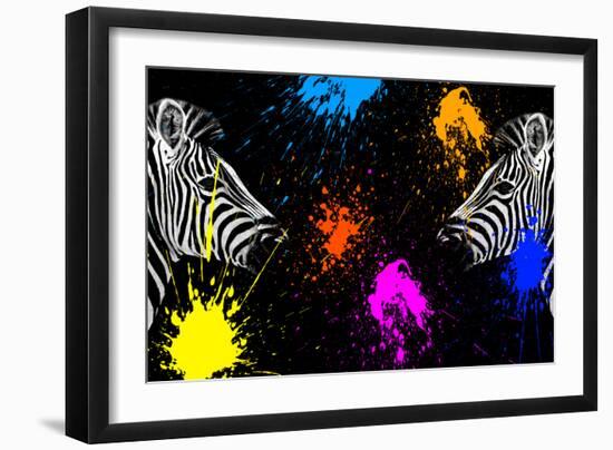 Safari Colors Pop Collection - Zebras Face to Face II-Philippe Hugonnard-Framed Giclee Print