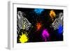 Safari Colors Pop Collection - Zebras Face to Face II-Philippe Hugonnard-Framed Giclee Print