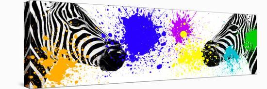 Safari Colors Pop Collection - Zebras Face to Face III-Philippe Hugonnard-Stretched Canvas