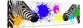 Safari Colors Pop Collection - Zebras Face to Face III-Philippe Hugonnard-Stretched Canvas