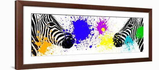 Safari Colors Pop Collection - Zebras Face to Face III-Philippe Hugonnard-Framed Premium Giclee Print