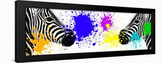 Safari Colors Pop Collection - Zebras Face to Face III-Philippe Hugonnard-Framed Premium Giclee Print