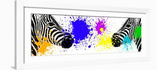 Safari Colors Pop Collection - Zebras Face to Face III-Philippe Hugonnard-Framed Giclee Print