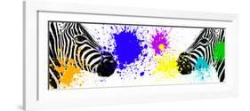 Safari Colors Pop Collection - Zebras Face to Face III-Philippe Hugonnard-Framed Giclee Print