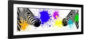 Safari Colors Pop Collection - Zebras Face to Face III-Philippe Hugonnard-Framed Giclee Print