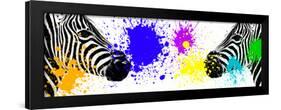 Safari Colors Pop Collection - Zebras Face to Face III-Philippe Hugonnard-Framed Giclee Print