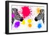 Safari Colors Pop Collection - Zebras Face to Face IV-Philippe Hugonnard-Framed Giclee Print