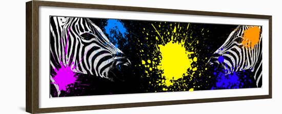 Safari Colors Pop Collection - Zebras Face to Face-Philippe Hugonnard-Framed Giclee Print