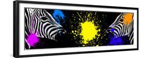 Safari Colors Pop Collection - Zebras Face to Face-Philippe Hugonnard-Framed Giclee Print