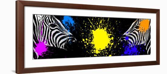 Safari Colors Pop Collection - Zebras Face to Face-Philippe Hugonnard-Framed Giclee Print