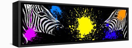 Safari Colors Pop Collection - Zebras Face to Face-Philippe Hugonnard-Framed Stretched Canvas