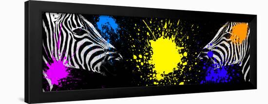 Safari Colors Pop Collection - Zebras Face to Face-Philippe Hugonnard-Framed Premium Giclee Print