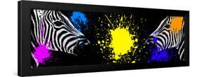 Safari Colors Pop Collection - Zebras Face to Face-Philippe Hugonnard-Framed Premium Giclee Print