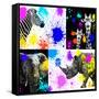 Safari Colors Pop Collection-Philippe Hugonnard-Framed Stretched Canvas