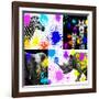 Safari Colors Pop Collection-Philippe Hugonnard-Framed Giclee Print