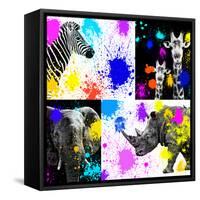 Safari Colors Pop Collection-Philippe Hugonnard-Framed Stretched Canvas