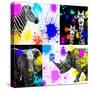 Safari Colors Pop Collection-Philippe Hugonnard-Stretched Canvas