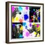 Safari Colors Pop Collection-Philippe Hugonnard-Framed Giclee Print