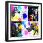 Safari Colors Pop Collection-Philippe Hugonnard-Framed Giclee Print