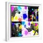 Safari Colors Pop Collection-Philippe Hugonnard-Framed Giclee Print