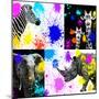 Safari Colors Pop Collection-Philippe Hugonnard-Mounted Giclee Print