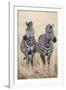 Safari Duet-Nigel Pavitt-Framed Giclee Print