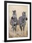 Safari Duet-Nigel Pavitt-Framed Giclee Print