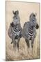 Safari Duet-Nigel Pavitt-Mounted Giclee Print