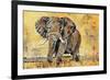 Safari Elephant-Madelaine Morris-Framed Art Print