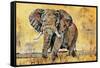 Safari Elephant-Madelaine Morris-Framed Stretched Canvas