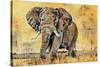 Safari Elephant-Madelaine Morris-Stretched Canvas