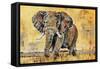 Safari Elephant-Madelaine Morris-Framed Stretched Canvas