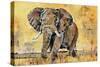 Safari Elephant-Madelaine Morris-Stretched Canvas
