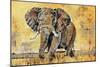 Safari Elephant-Madelaine Morris-Mounted Art Print