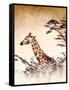 Safari Giraffe I-Dan Meneely-Framed Stretched Canvas