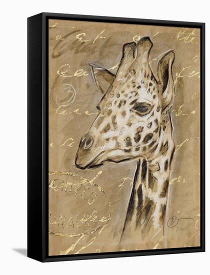 Safari Giraffe-Chad Barrett-Framed Stretched Canvas