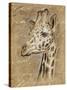 Safari Giraffe-Chad Barrett-Stretched Canvas