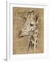 Safari Giraffe-Chad Barrett-Framed Art Print